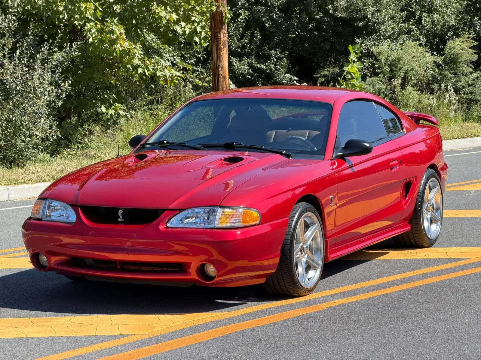 1996 Ford Mustang SVT Cobra, photo 1