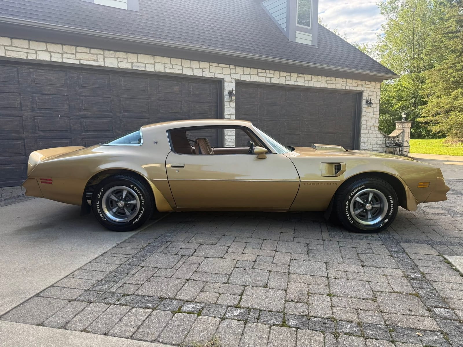 1978 Pontiac Firebird, photo 1