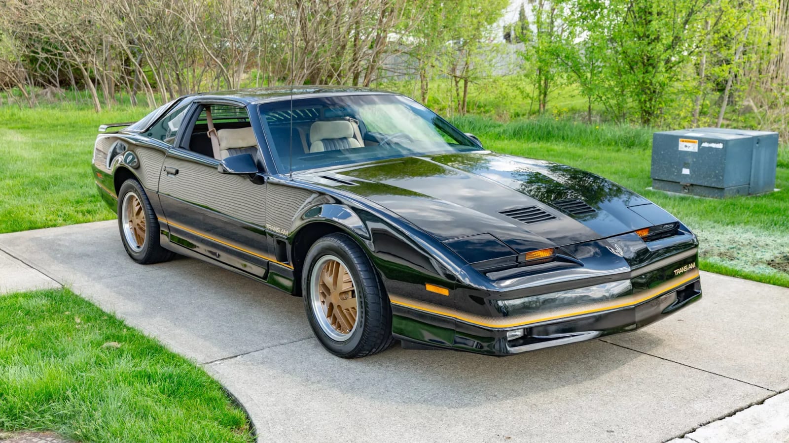 1985 Pontiac Trans Am, photo 1