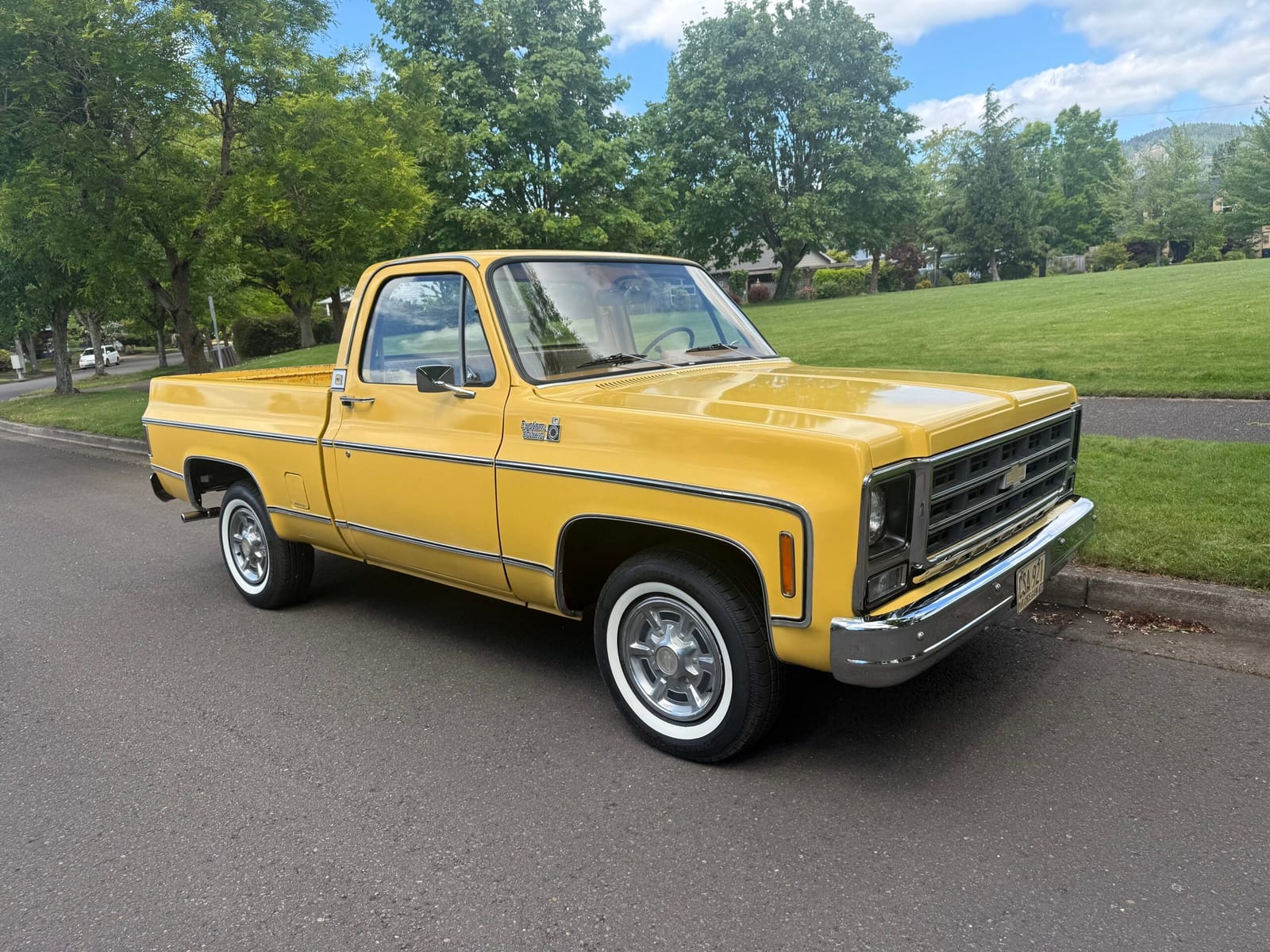 1979 Chevrolet C10, photo 1