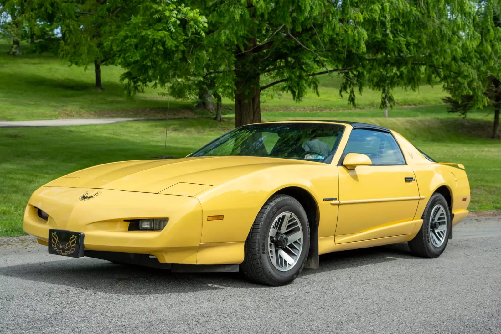 1992 Pontiac Firebird, photo 1