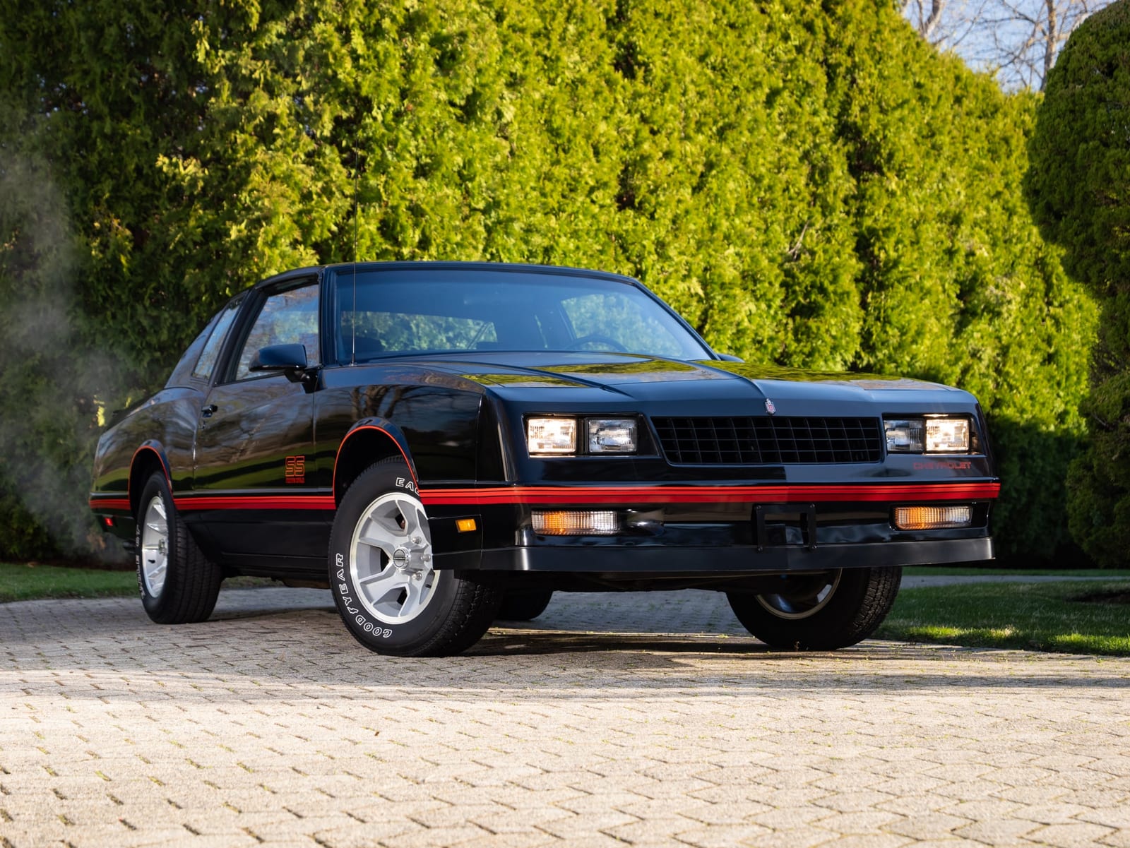 1987 Chevrolet Monte Carlo SS AEROCOUPE, photo 1